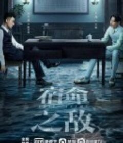 宿命之敌            (2023)