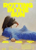 在阳光下腐烂 Rotting in the Sun            (2023)