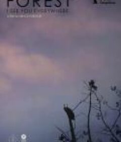 森林随处可见 Rengeteg - Mindenhol látlak            (2021)