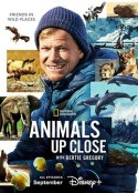 贝尔蒂·格雷戈里：与动物零距离 Animals Up Close with Bertie Gregory            (2023)