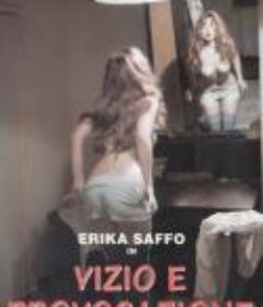 双妻艳史 Provocation            (1996)