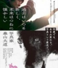 过往皆为新事，未来终是旧梦：摄影师森山大道 過去はいつも新しく、未来はつねに懐かしい 写真家 森山大道            (2019)