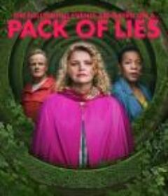 以下事件基于一堆谎言 The Following Events are Based on a Pack of Lies            (2023)