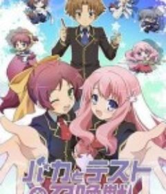 笨蛋·测验·召唤兽 バカとテストと召喚獣            (2010)