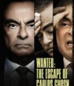 追缉汽车大亨：卡洛斯·戈恩 Wanted: The Escape of Carlos Ghosn            (2023)