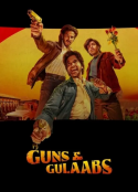 Guns and Gulaabs (2022)