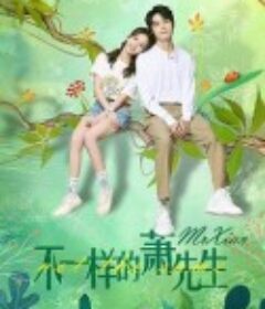 不一样的萧先生            (2023)