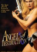毁灭天使 Angel of Destruction            (1994)