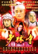 新少林寺 (1999)