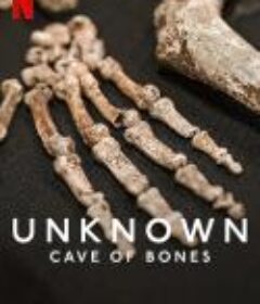 地球未知档案：骸骨洞穴 Unknown: Cave of Bones            (2023)