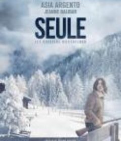 冰雪特工 Seule: Les dossiers Silvercloud            (2022)