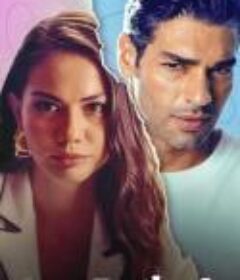 爱的锦囊妙计2 Ask Taktikleri 2            (2023)