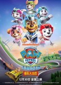 汪汪队立大功之勇敢大营救 Paw Patrol: Super Rescue            (2022)