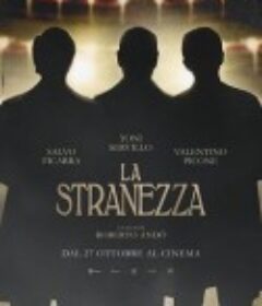 妙事无穷 La stranezza            (2022)
