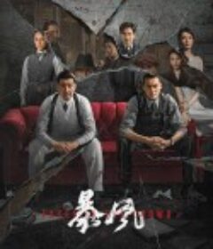 暴风            (2023)