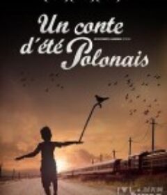 追火车日记 Sztuczki            (2007)