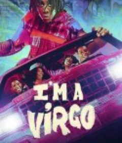 我是处女座 I'm A Virgo            (2023)