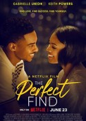 完美爱人生 The Perfect Find            (2023)