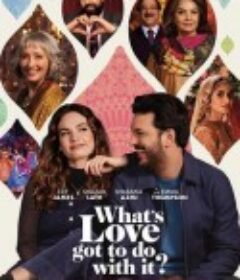 与爱何关 What's Love Got To Do With It?            (2022)