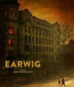蠼螋 Earwig            (2021)