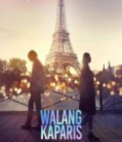 无与伦比的巴黎 Walang kaParis            (2023)