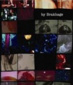 亲眼目击的行动 The Act of Seeing with One's Own Eyes            (1971)