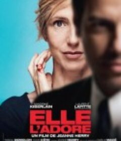 她爱他 Elle l'adore            (2014)