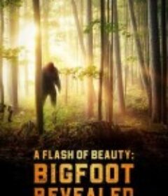 美丽的闪光：大脚怪揭秘 A Flash of Beauty: Bigfoot Revealed            (2022)