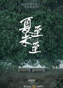 夏至未至            (2017)