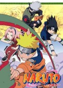 火影忍者 NARUTO -ナルト-            (2002)