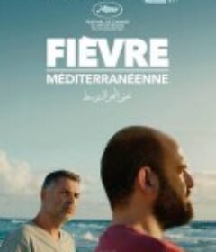 地中海热 Mediterranean Fever            (2022)