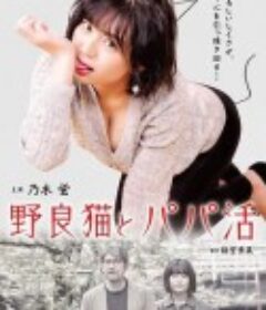 野猫少女 野良猫とパパ活            (2020)