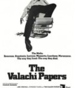 贼杀贼 The Valachi Papers            (1972)