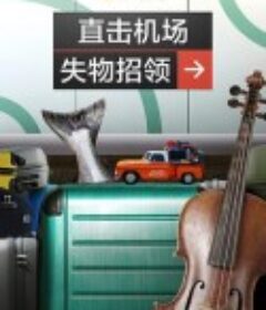 直击机场失物招领 Inside Airport Lost &amp; Found            (2022)