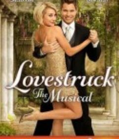 热恋：音乐剧 Lovestruck: The Musical  (2012/2013)
