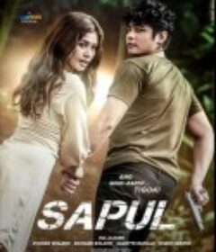 联合惩治 Sapul            (2023)