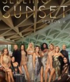 日落家园 第六季 Selling Sunset Season 6            (2023)