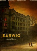 蠼螋 Earwig            (2021)