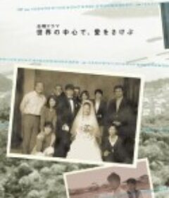 在世界的中心呼唤爱 世界の中心で、愛をさけぶ            (2004)