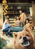 忠犬八公            (2023)