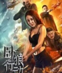 卧狼行动            (2023)