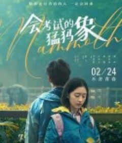 会考试的猛犸象            (2020)