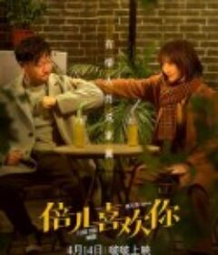 倍儿喜欢你            (2023)