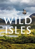 野性英伦 Wild Isles            (2023)