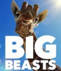 巨兽 Big Beasts            (2023)