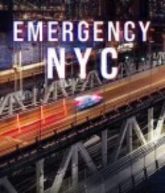 急诊先锋：纽约 第一季 Emergency NYC Season 1            (2023)