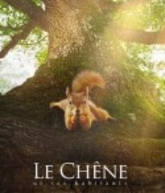 橡树 Le chêne            (2022)