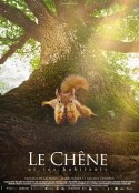 橡树 Le chêne            (2022)