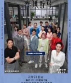 许你春风野马            (2023)