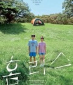 无家可归 홈리스            (2020)